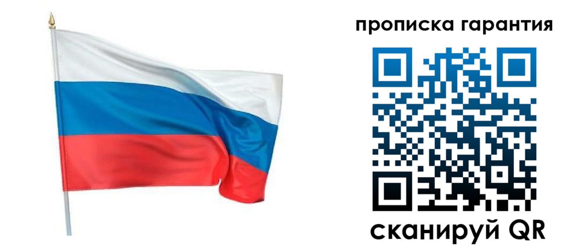 прописка регистрация в Кингисеппе
