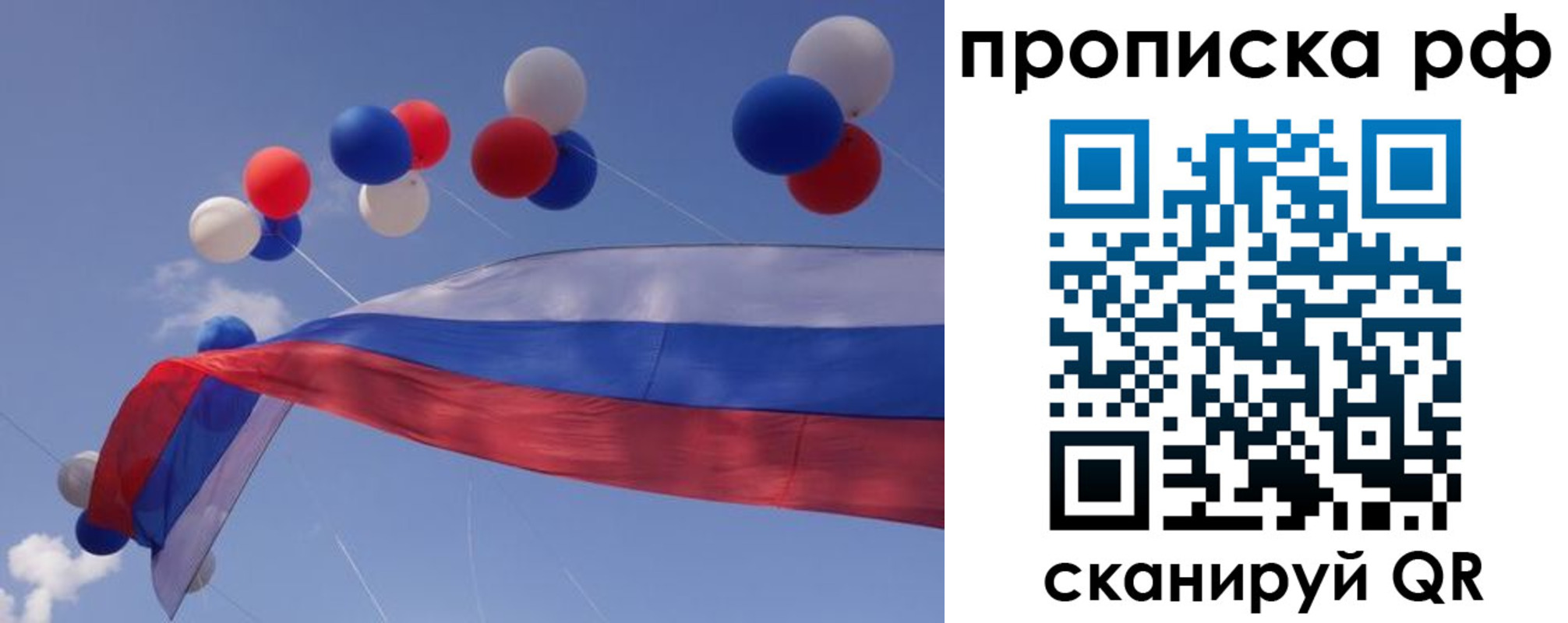 прописка законно в Кингисеппе